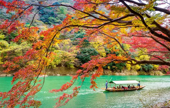 Autumn, leaves, trees, Park, Japan, Kyoto, nature, park