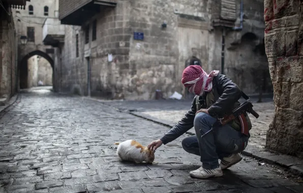 Picture cat, weapons, street, food, home, Guy