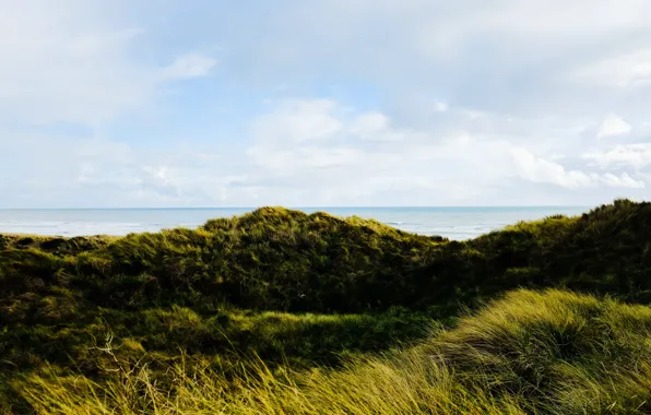 Sea, the sky, grass, nature, hills, horizon