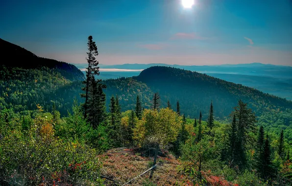 Forest, the sky, the sun, rays, trees, mountains, nature