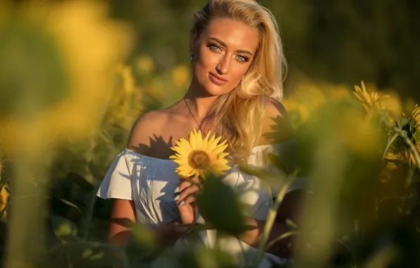 Girl, sweetheart, model, Field, blonde, Wallpaper, Portrait, Sunflowers