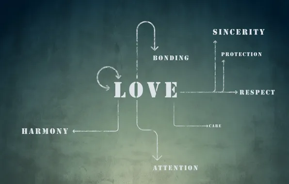 Love, scheme, protection, care, attention, harmony, attachment, sincerity
