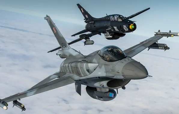 Picture Fighter, F-16, Fighter-bomber, F-16 Fighting Falcon, Su-22, Sukhoi Su-22M4, Polish air force, Su-22M4