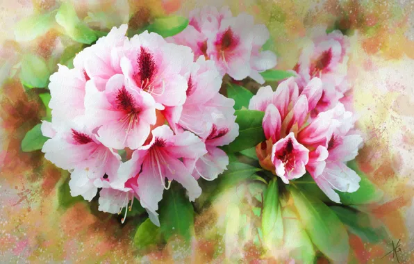 Flowers, pink, figure, graphics, treatment, bouquet, picture, petals