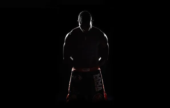 MMA, Alistair Overeem, K-1