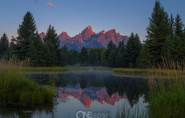 Forest, the sky, light, mountains, nature, reflection, morning, Wyoming