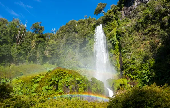 Picture Conguillio National Park, rainbow, Chile, Sunny, waterfall, trees, the bushes, greens