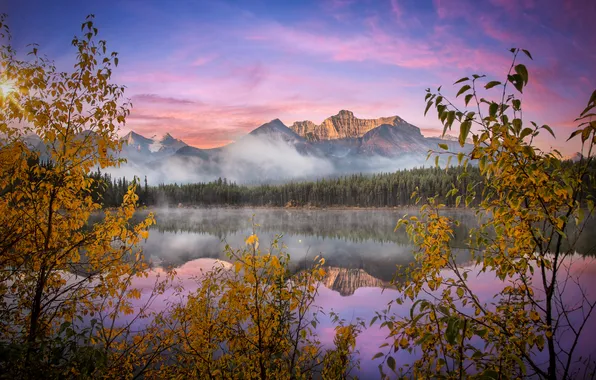 Forest, the sky, mountains, lake, shore, the slopes, pond