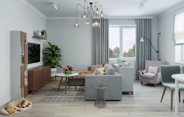 Design, style, interior, living room, cozy, dining room
