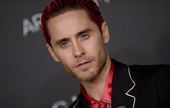 Picture look, actor, Jared Leto, handsome, beard