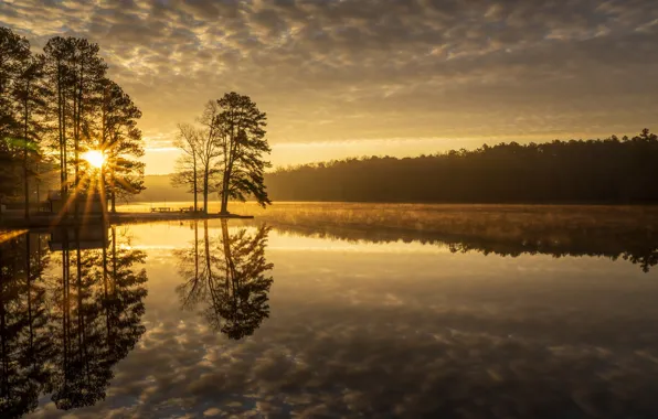 Trees, lake, reflection, dawn, morning, Tennessee, Tn, Natchez Trace State Park