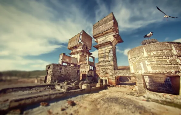 The sky, ruins, storks