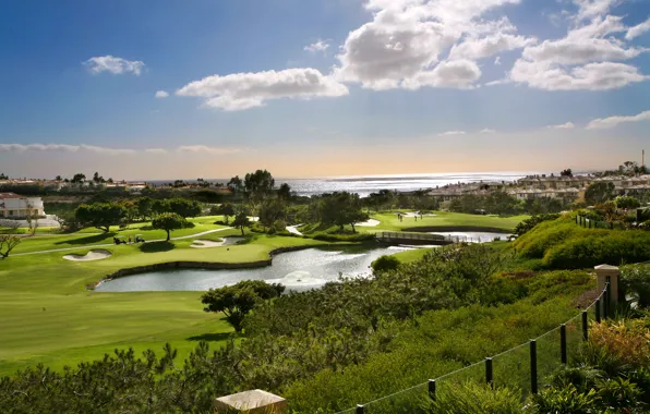 Picture sea, field, the sky, the sun, clouds, trees, bridge, pond