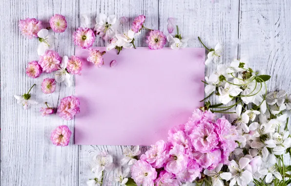 Flowers, pink, wood, pink, flowers, beautiful, tender, frame