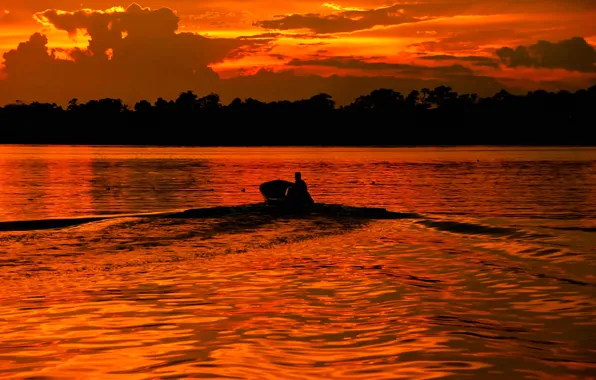 Trees, boat, the evening, silhouette, glow, zero