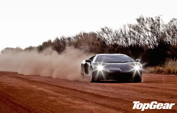 Picture road, trees, black, dust, Lamborghini, supercar, top gear, the front