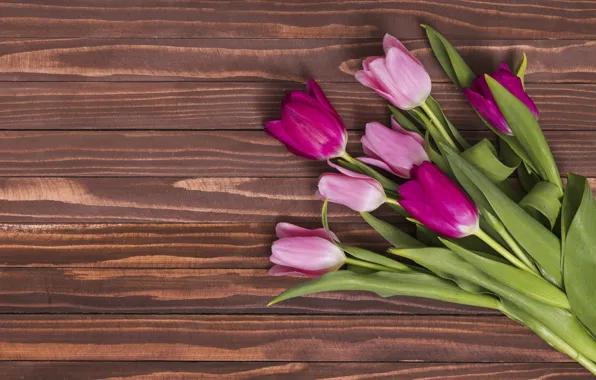 Flowers, colorful, tulips, pink, wood, pink, flowers, tulips