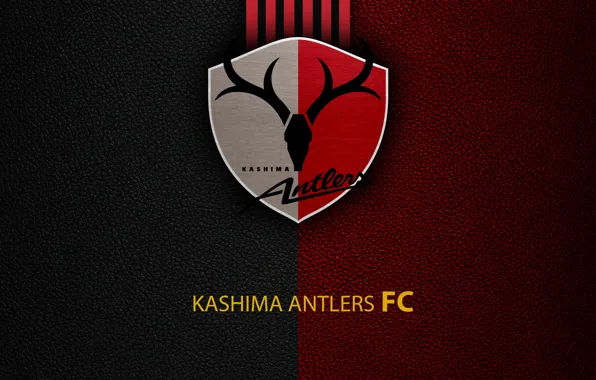 Picture wallpaper, sport, logo, football, Kashima Antlers