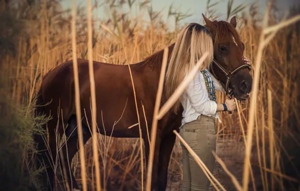 Field, girl, nature, pose, horse, thickets, stems, horse