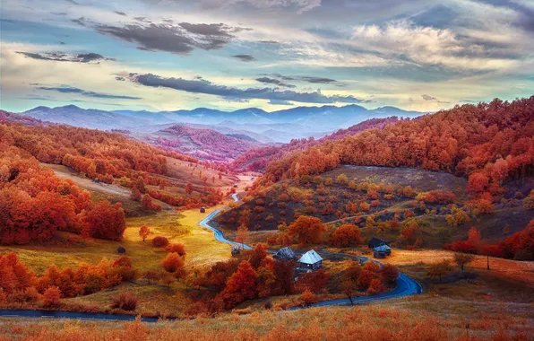 Road, field, autumn, forest, the sky, clouds, trees, mountains