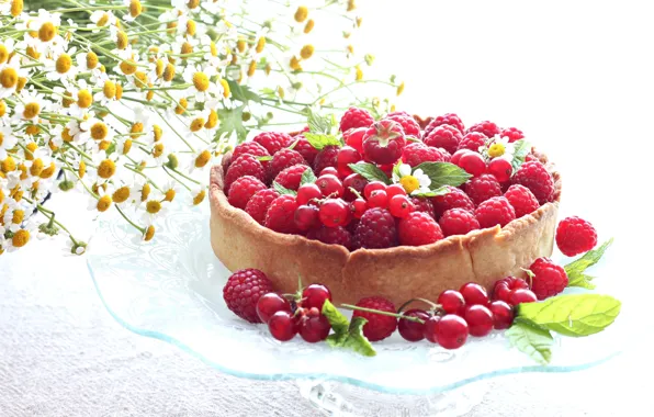 Picture summer, flowers, berries, raspberry, chamomile, pie, currants, BlackBerry