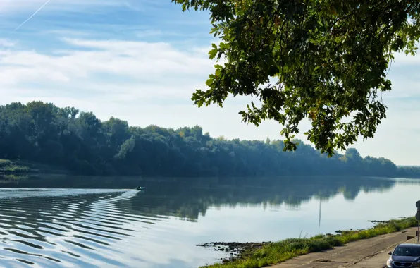 Picture Nature, Tree, Road, Morning, Nature, Tree, Morning, Road