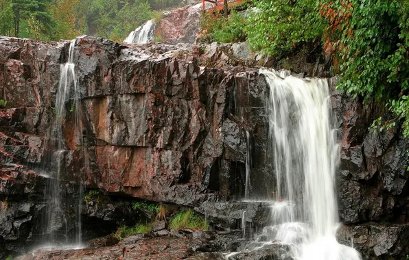 Picture forest, trees, landscape, mountains, nature, rock, waterfall, plants