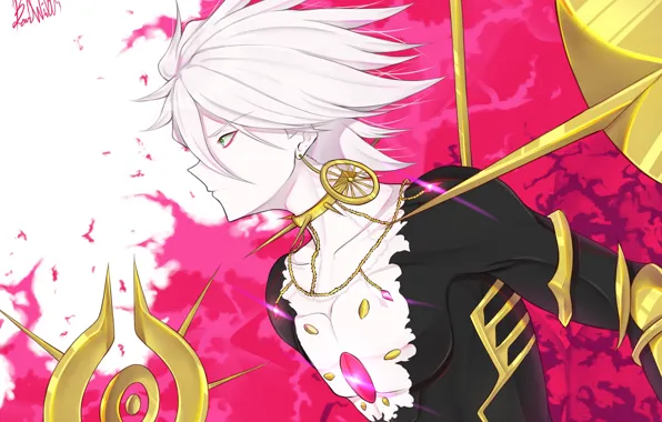 Profile, guy, Fate - Apocrypha, Red Lancer, Fate Apocrypha