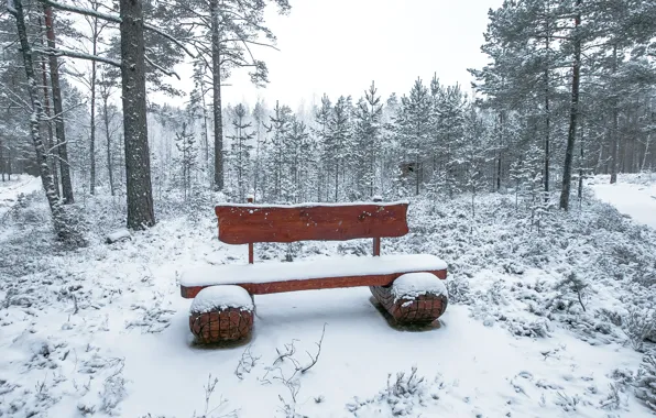 Winter, snow, trees, landscape, bench, forest, trees, landscape