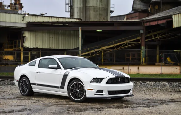 White, mustang, Mustang, white, ford, Ford, side view, boss 302