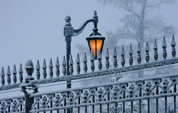 Picture winter, snow, nature, lantern