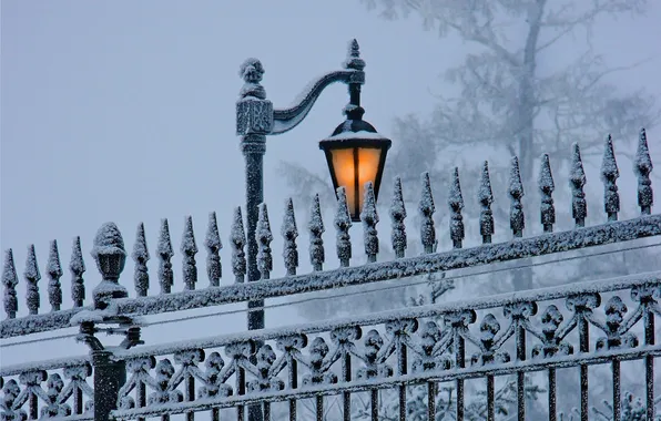 Winter, snow, nature, lantern