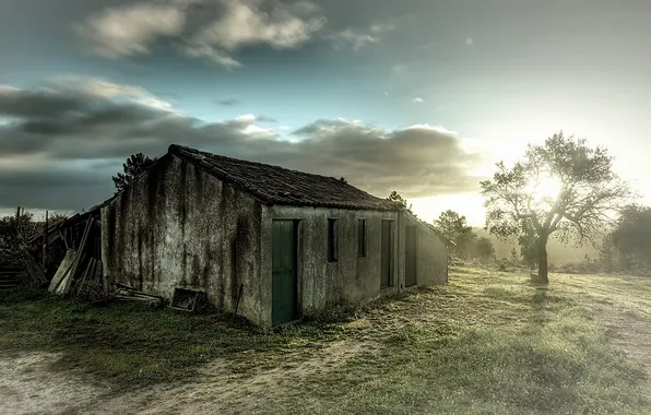 Picture landscape, home, morning