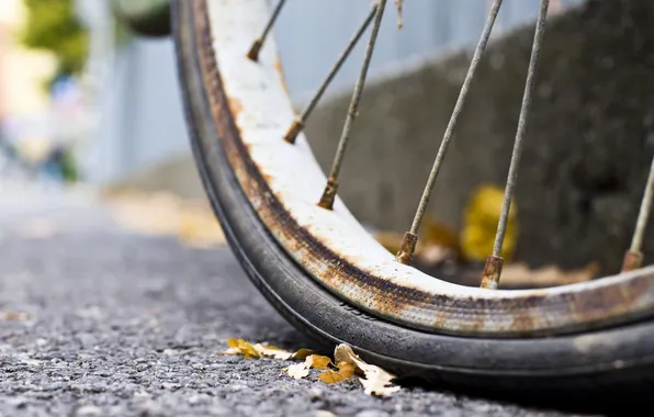 Bike, background, wheel