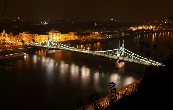 Night, lights, river, Hungary, Budapest, The Danube, Liberty Bridge