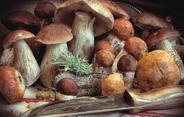 Picture autumn, mushrooms, food, knife