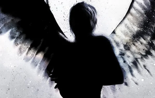 Picture squirt, black, wings, silhouette