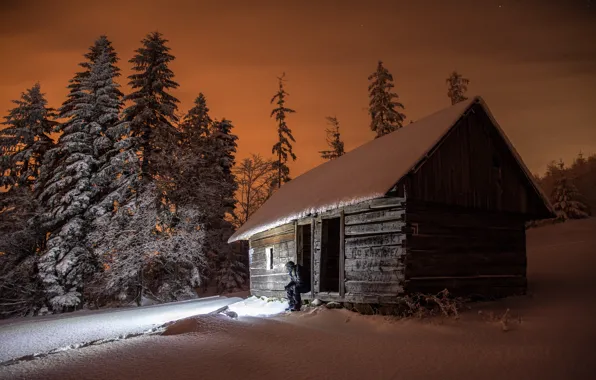 Picture winter, forest, light, snow, landscape, night, nature, house