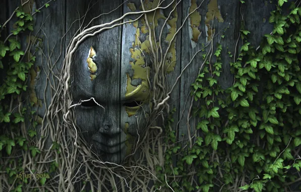 Nature, face, roots, the fence, ivy