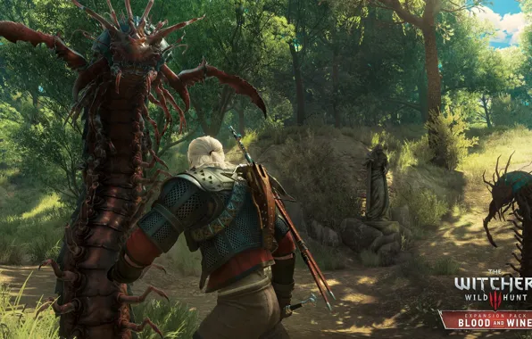 Picture swords, the Witcher, killer, monster, DLC, The Witcher 3: Wild Hunt, The Witcher 3: Wild …