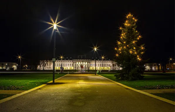 Night, the city, photo, tree, Germany, lights, garland, Koblenz