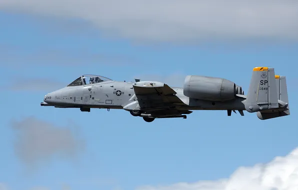 Picture aviation, weapons, the plane, A10 Thunderbolt