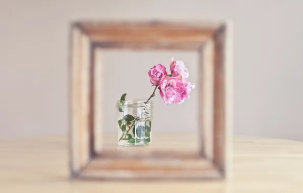 Picture flowers, background, frame