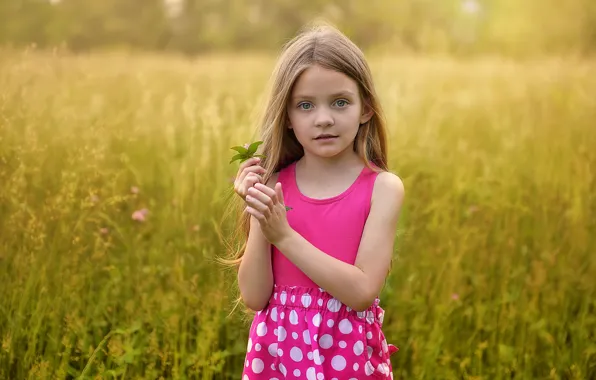 Field, girl, flower