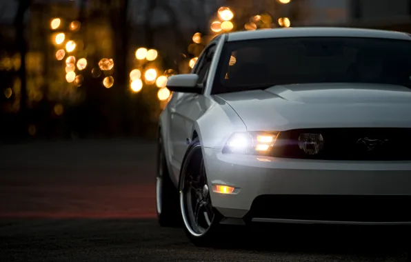 White, Mustang, Ford, Mustang, white, muscle car, Ford, Blik