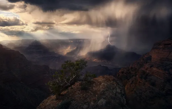 The storm, mountains, pine, canyons
