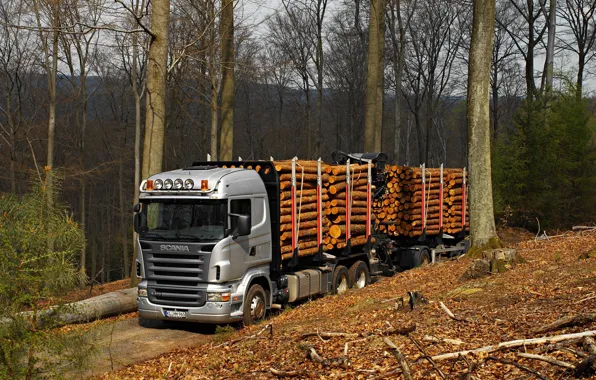 Forest, nature, truck, Scania R470, the truck