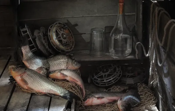 Fish, vodka, carp