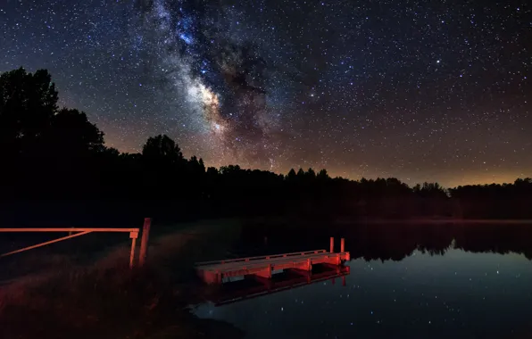 Forest, stars, night, lake, the milky way
