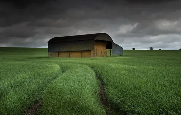 Field, the evening, hay